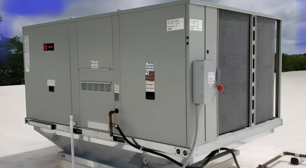 WhatsApp Image 2025-12-12 at 4.23.37 PM (1)