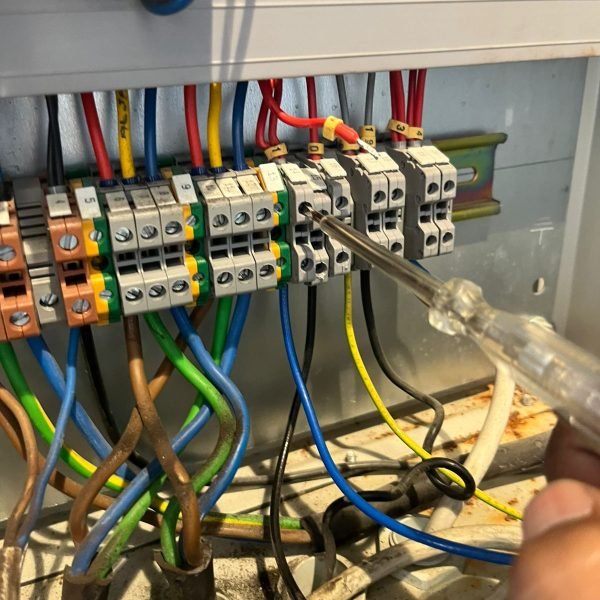 WhatsApp Image 2025-11-20 at 3.00.49 PM (1)