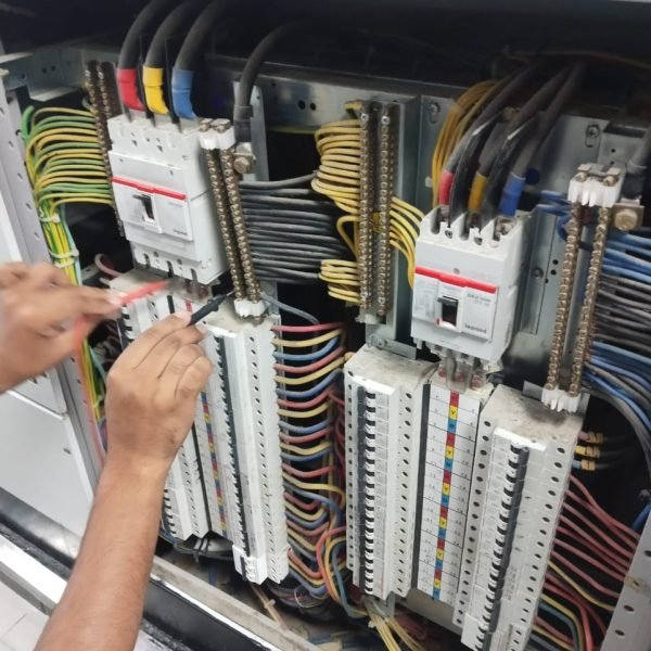 WhatsApp Image 2025-11-20 at 3.00.49 PM