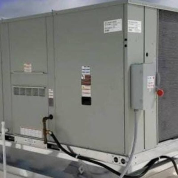 WhatsApp Image 2025-12-12 at 4.23.37 PM (1)