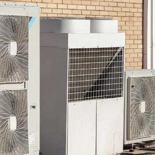 WhatsApp Image 2025-12-12 at 4.23.37 PM